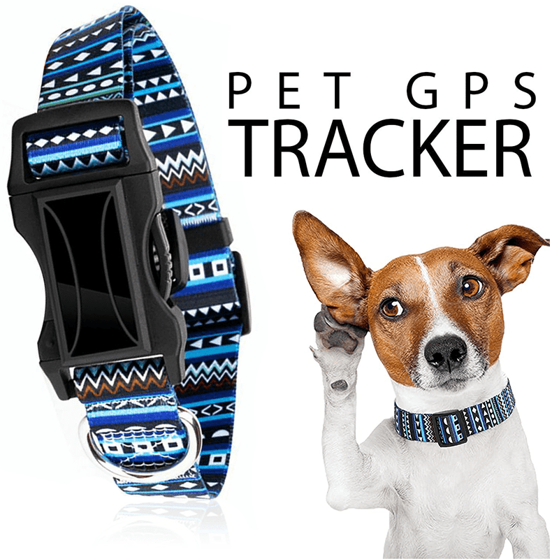 zgarda-cu-gps-tracker-pentru-caini-si-animale-umeline-f89-gpsbdslbsagps-albastru_1.png